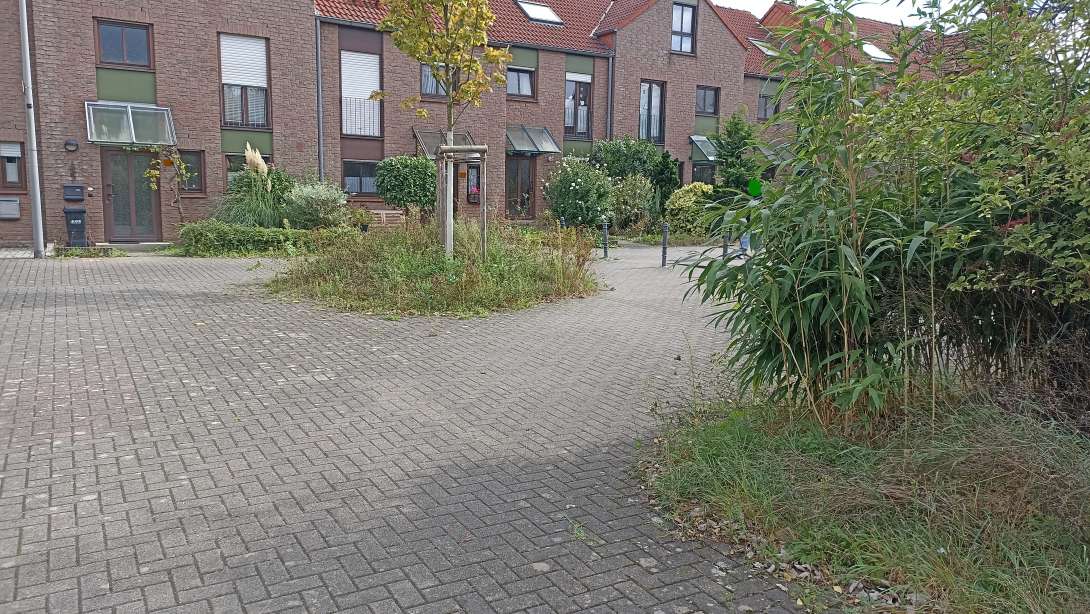 Bild zu gemeldetem Anliegen vom *2024-09-24 13:05:23