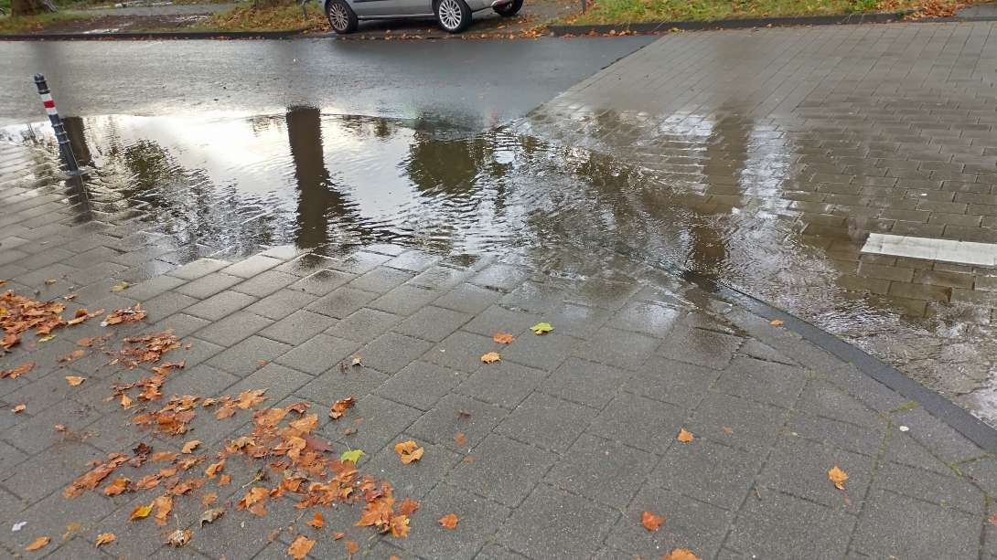 Bild zu gemeldetem Anliegen vom *2024-09-09 20:28:58