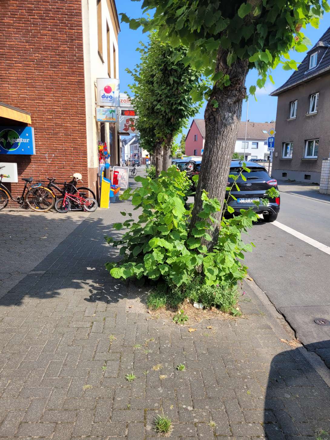 Bild zu gemeldetem Anliegen vom *2024-09-02 12:47:36