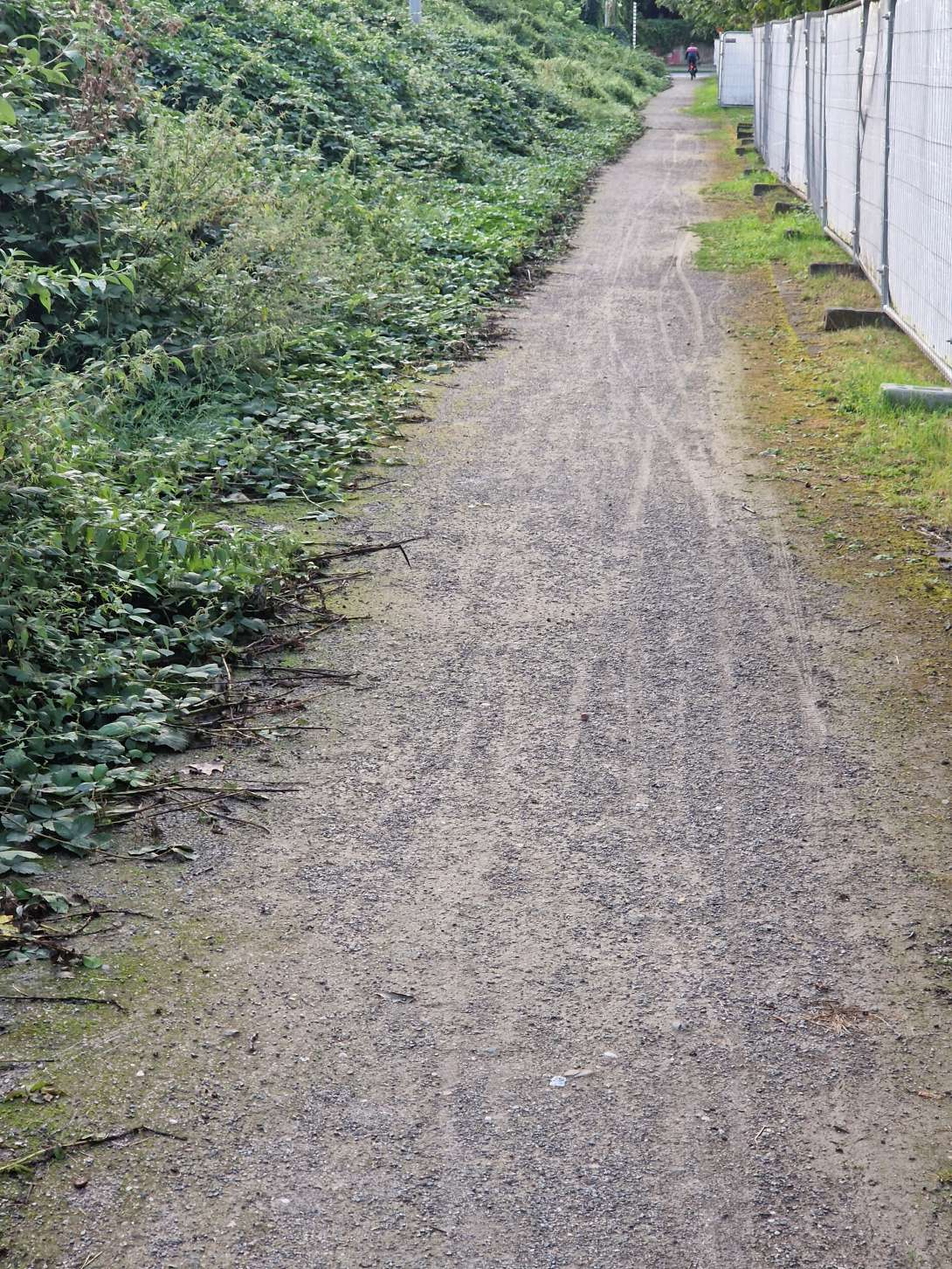 Bild zu gemeldetem Anliegen vom *2024-09-09 20:51:13