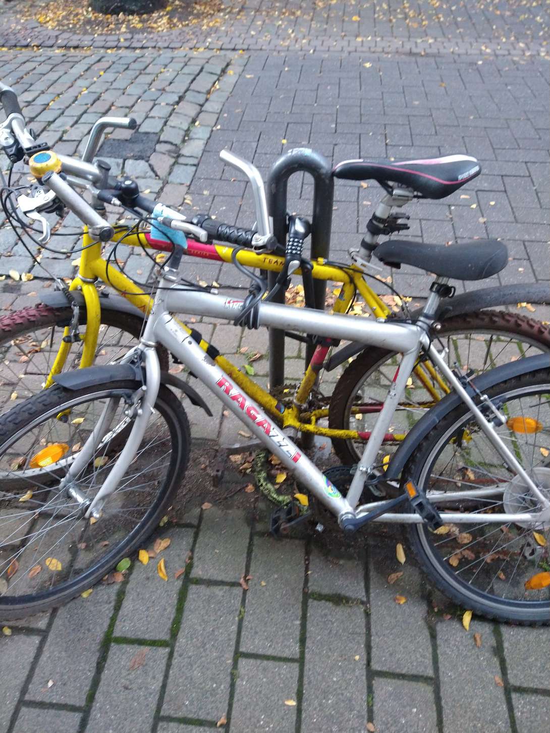 Bild zu gemeldetem Anliegen vom *2024-09-27 08:28:37