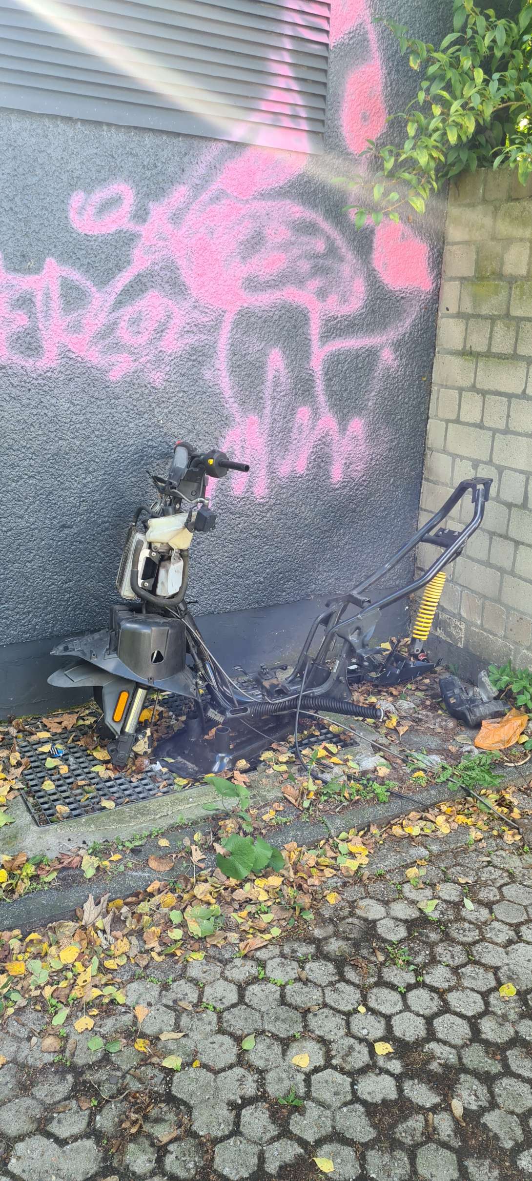 Bild zu gemeldetem Anliegen vom *2024-09-27 14:59:00