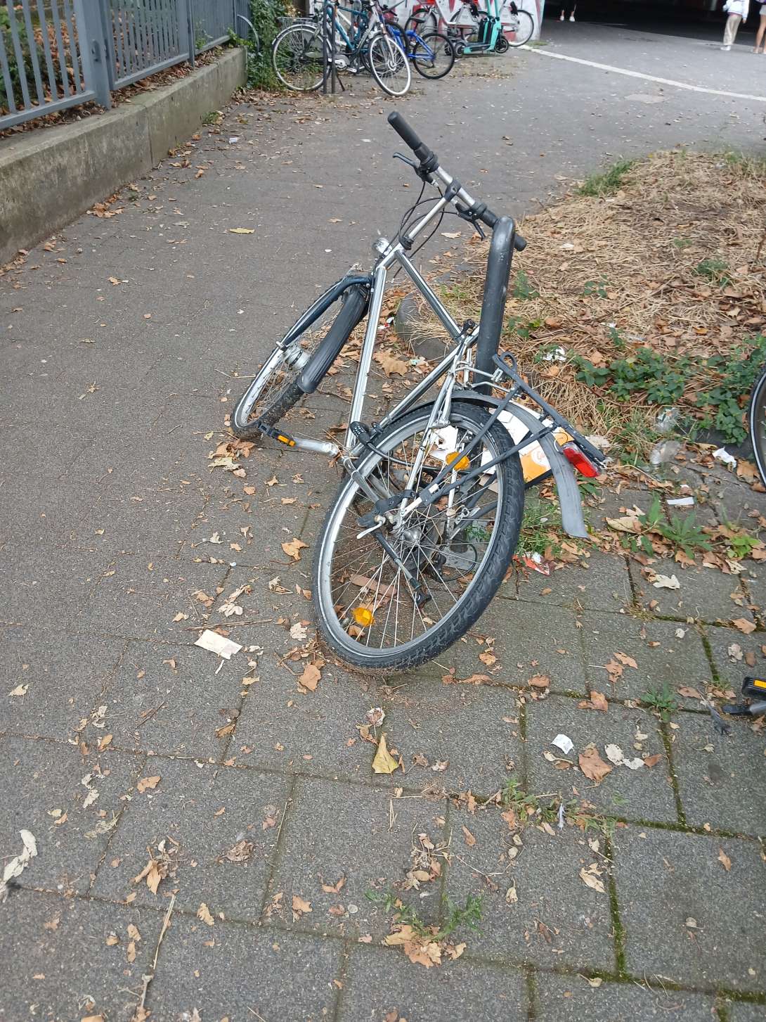 Bild zu gemeldetem Anliegen vom *2024-09-06 08:24:13