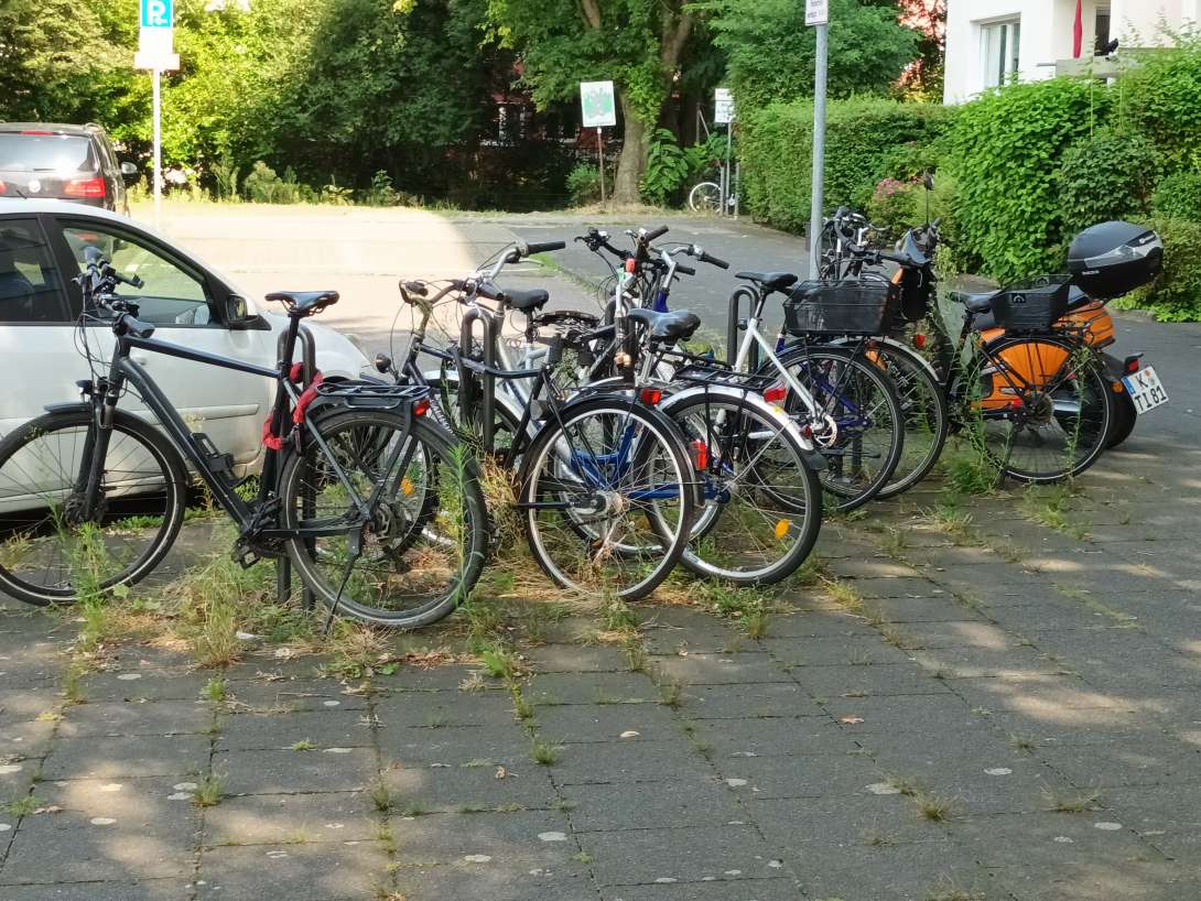 Bild zu gemeldetem Anliegen vom *2024-09-01 16:55:57