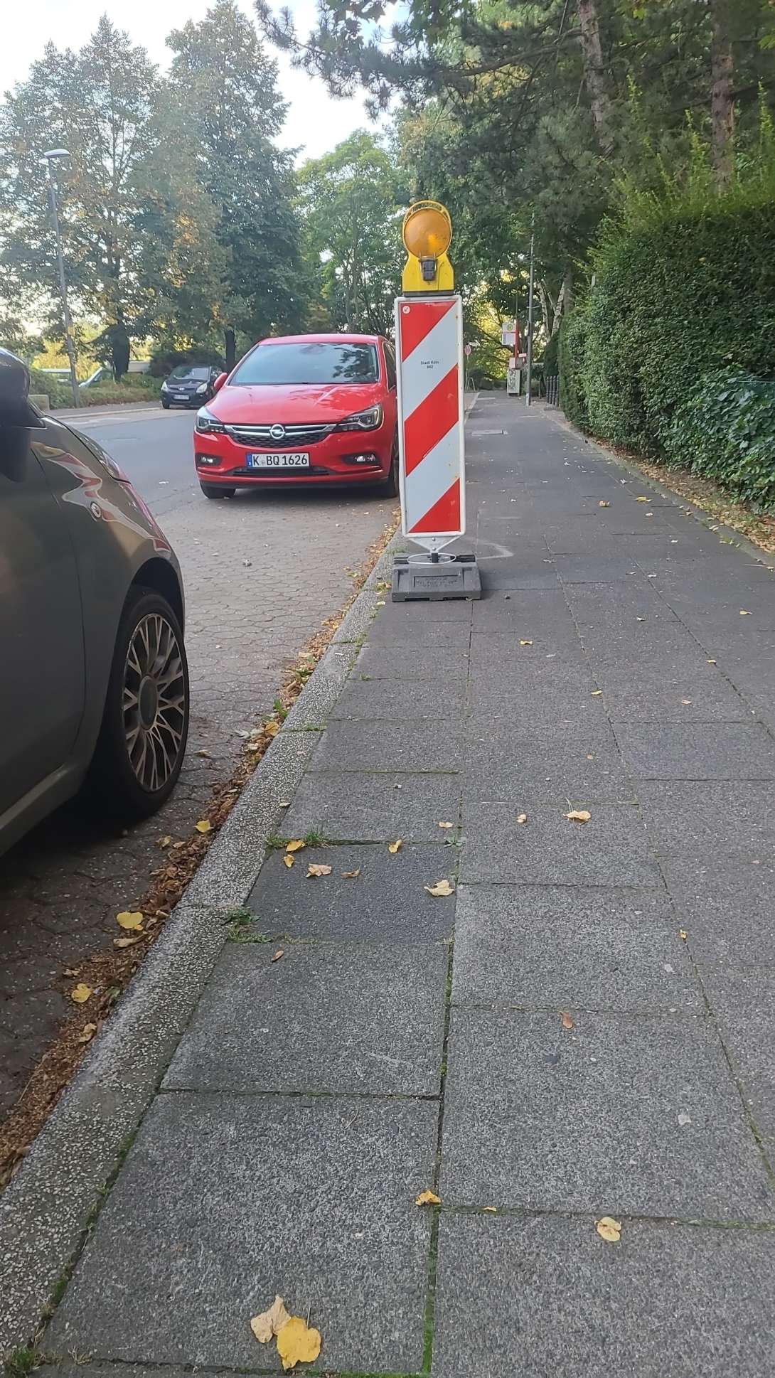Bild zu gemeldetem Anliegen vom *2024-09-22 20:55:38