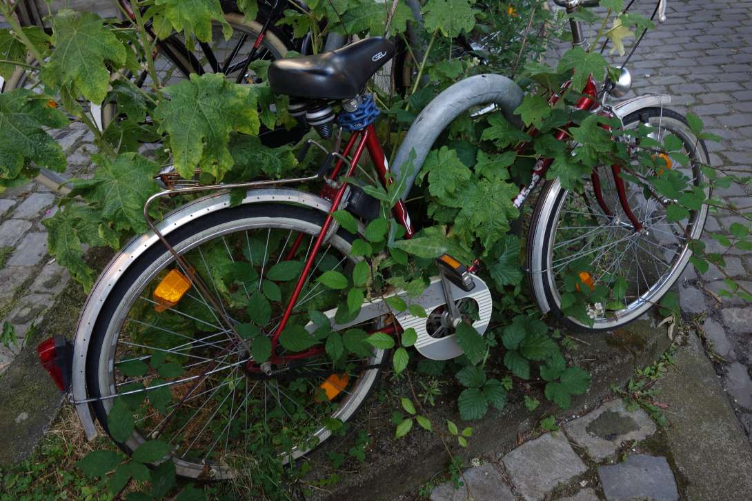 Bild zu gemeldetem Anliegen vom *2024-09-06 10:19:57