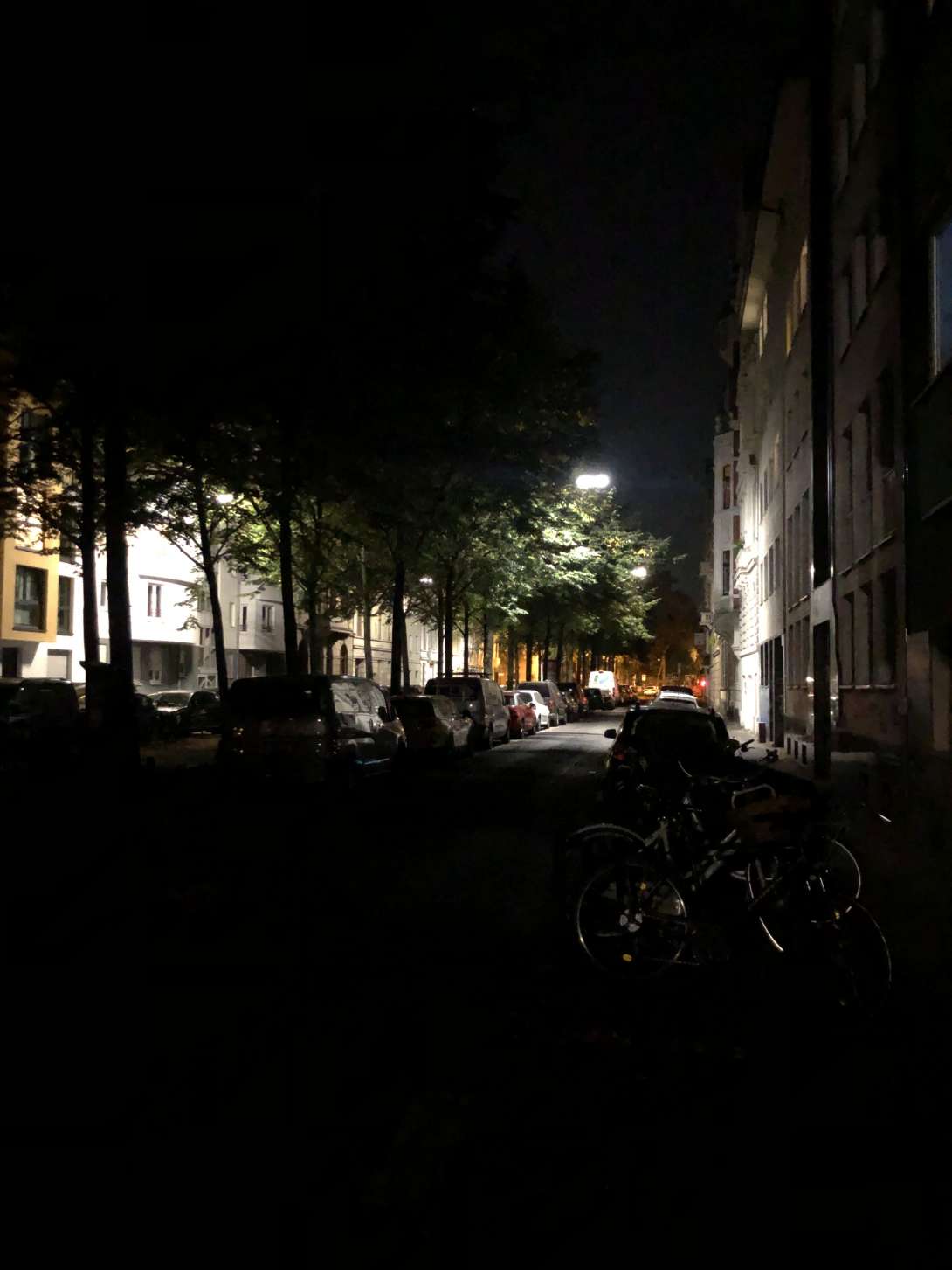 Bild zu gemeldetem Anliegen vom *2024-09-23 23:29:56