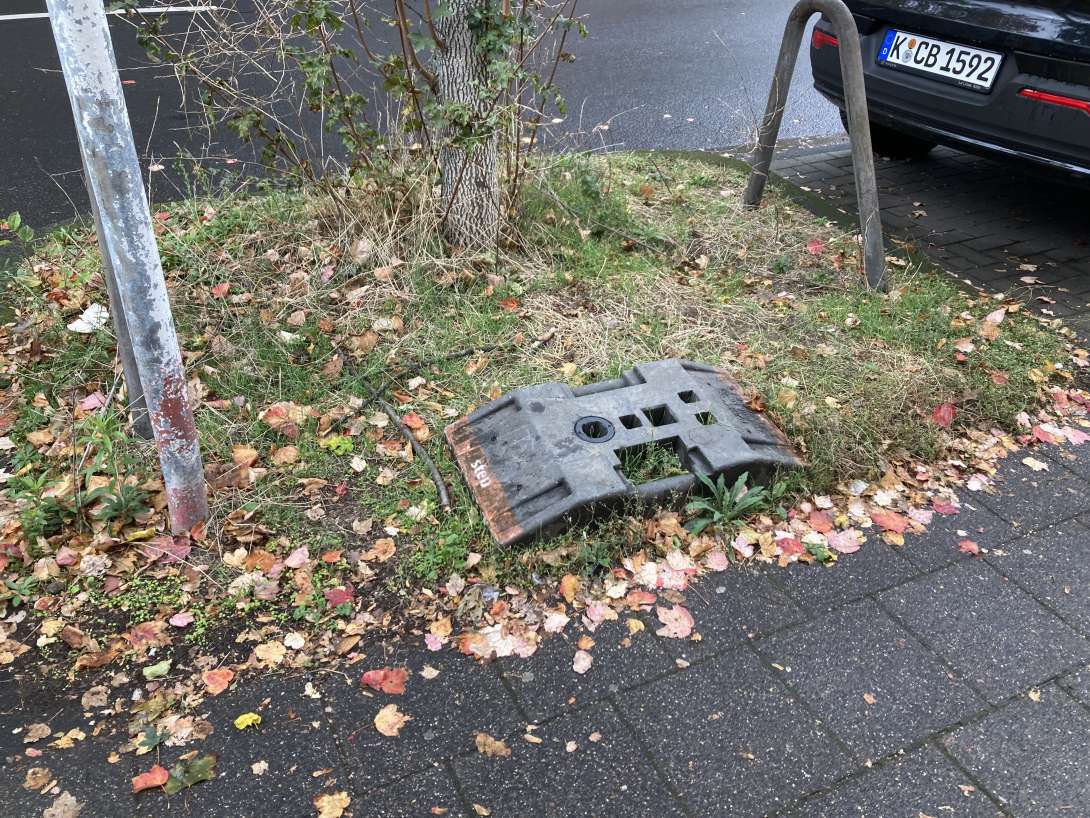 Bild zu gemeldetem Anliegen vom *2024-09-30 18:21:29