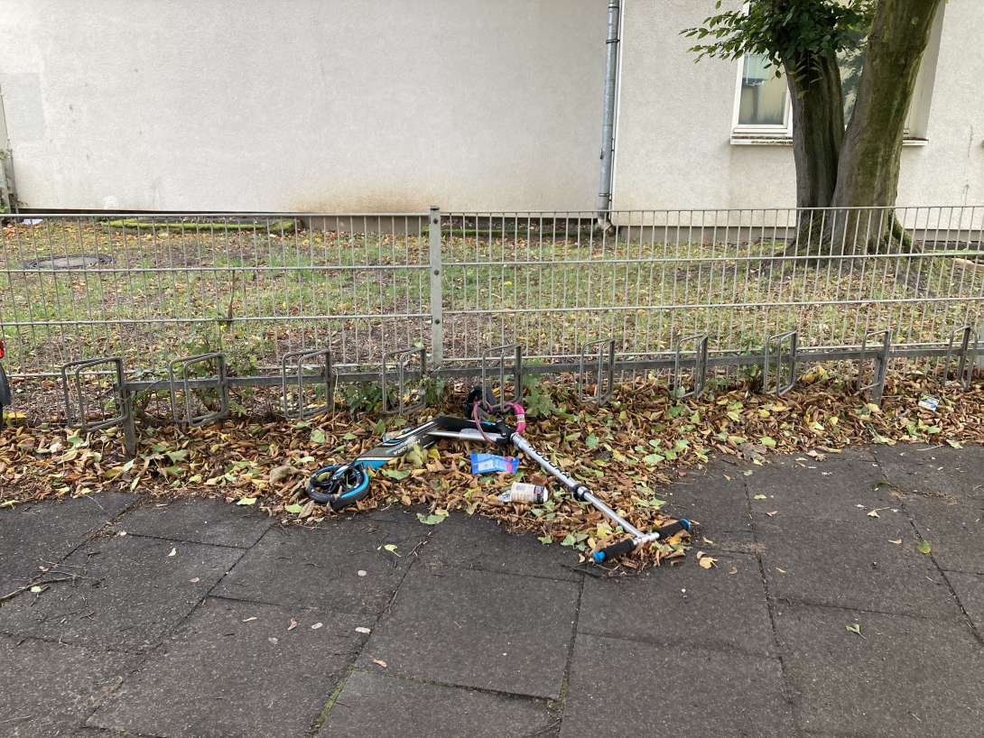 Bild zu gemeldetem Anliegen vom *2024-09-30 18:25:55