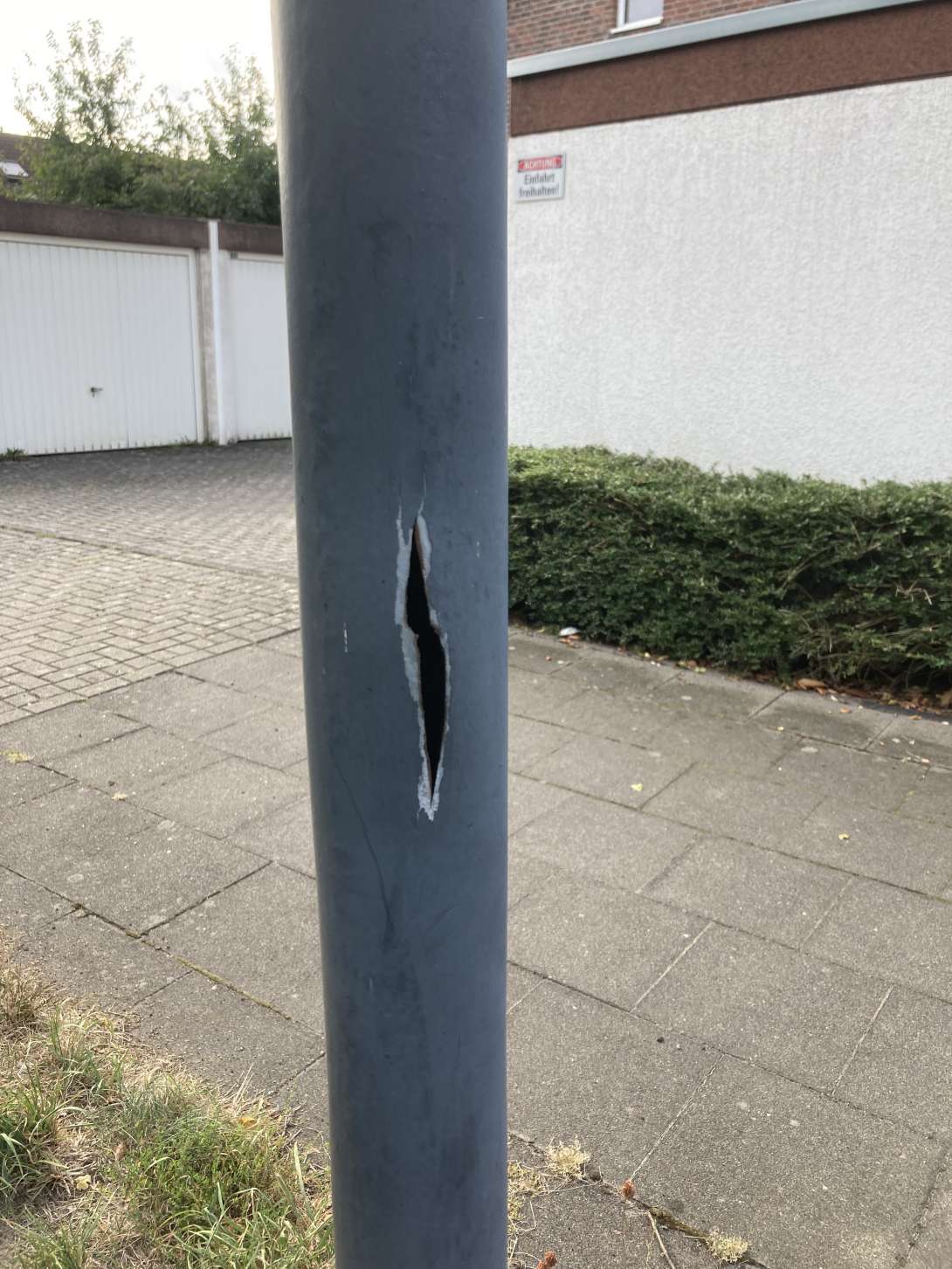 Bild zu gemeldetem Anliegen vom *2024-09-03 10:25:28