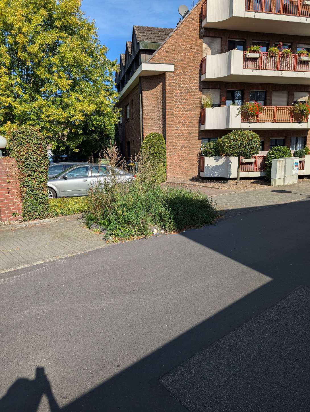 Bild zu gemeldetem Anliegen vom *2024-09-22 12:49:42