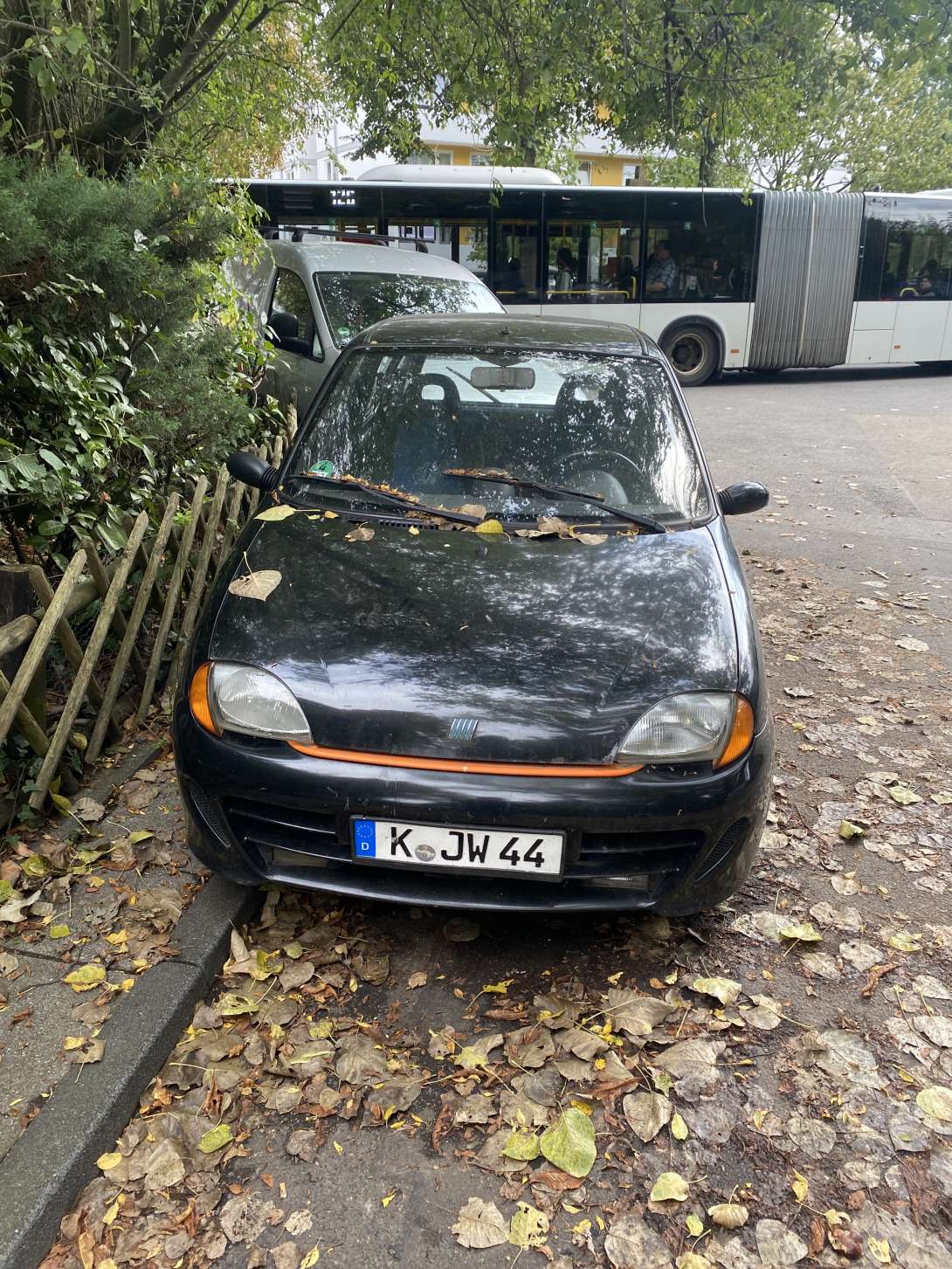 Bild zu gemeldetem Anliegen vom *2024-09-10 13:32:21