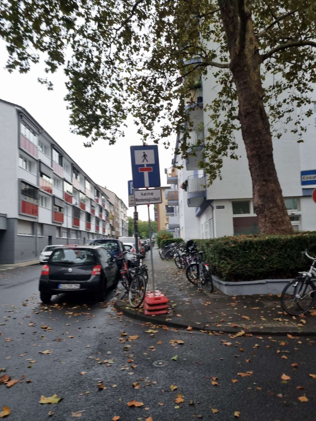 Bild zu gemeldetem Anliegen vom *2024-10-08 08:44:16
