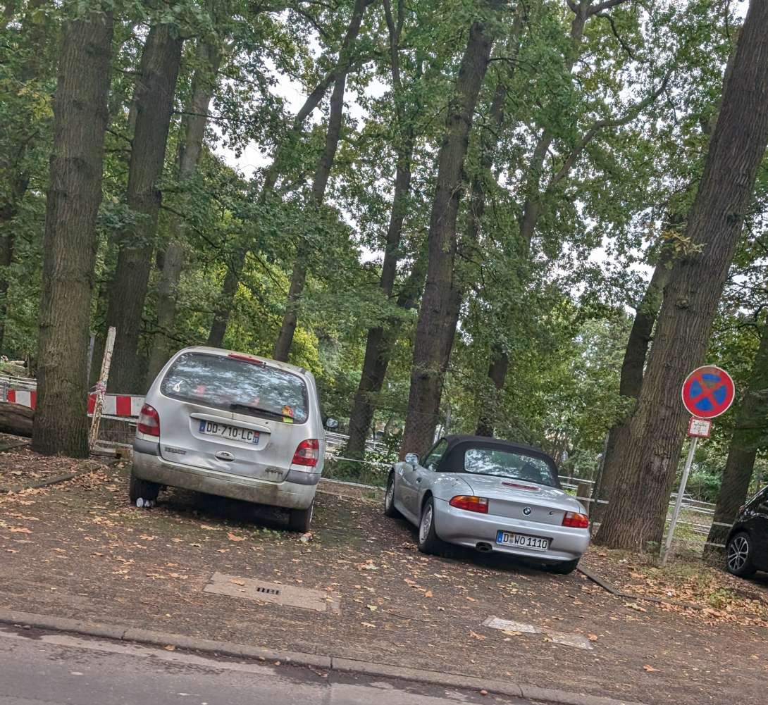 Bild zu gemeldetem Anliegen vom *2024-10-04 13:17:27
