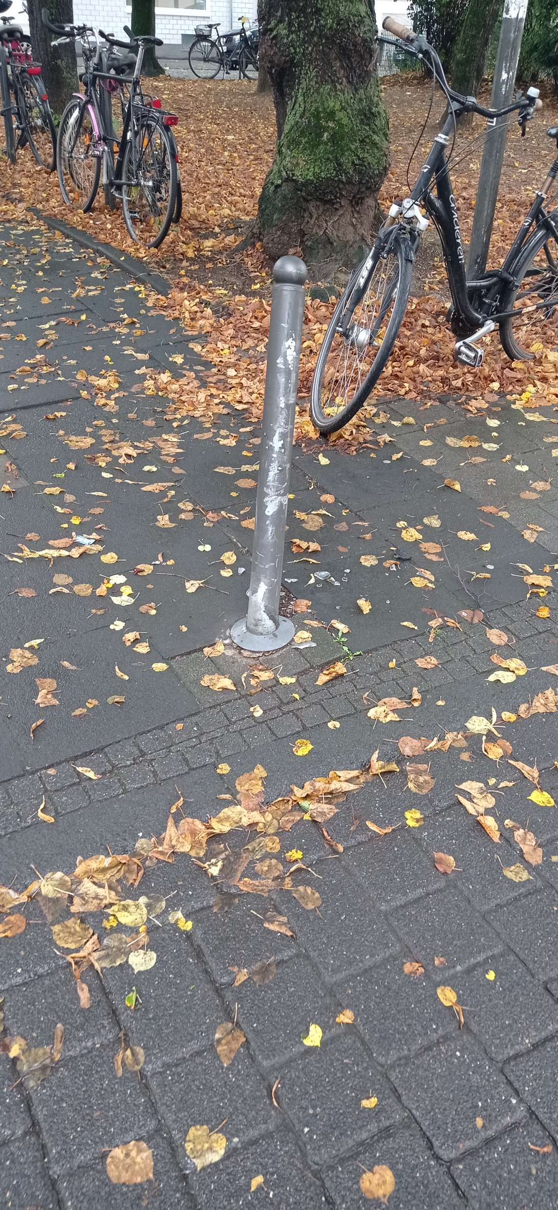 Bild zu gemeldetem Anliegen vom *2024-10-10 10:06:10