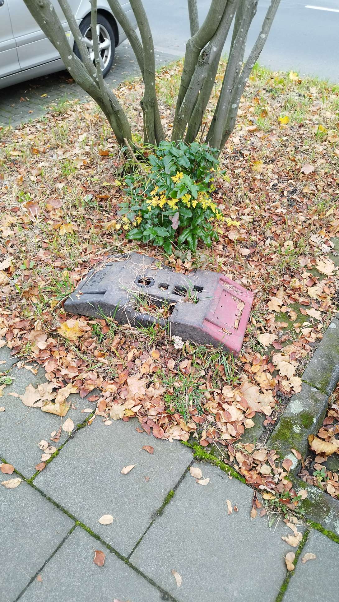 Bild zu gemeldetem Anliegen vom *2024-10-18 05:36:14