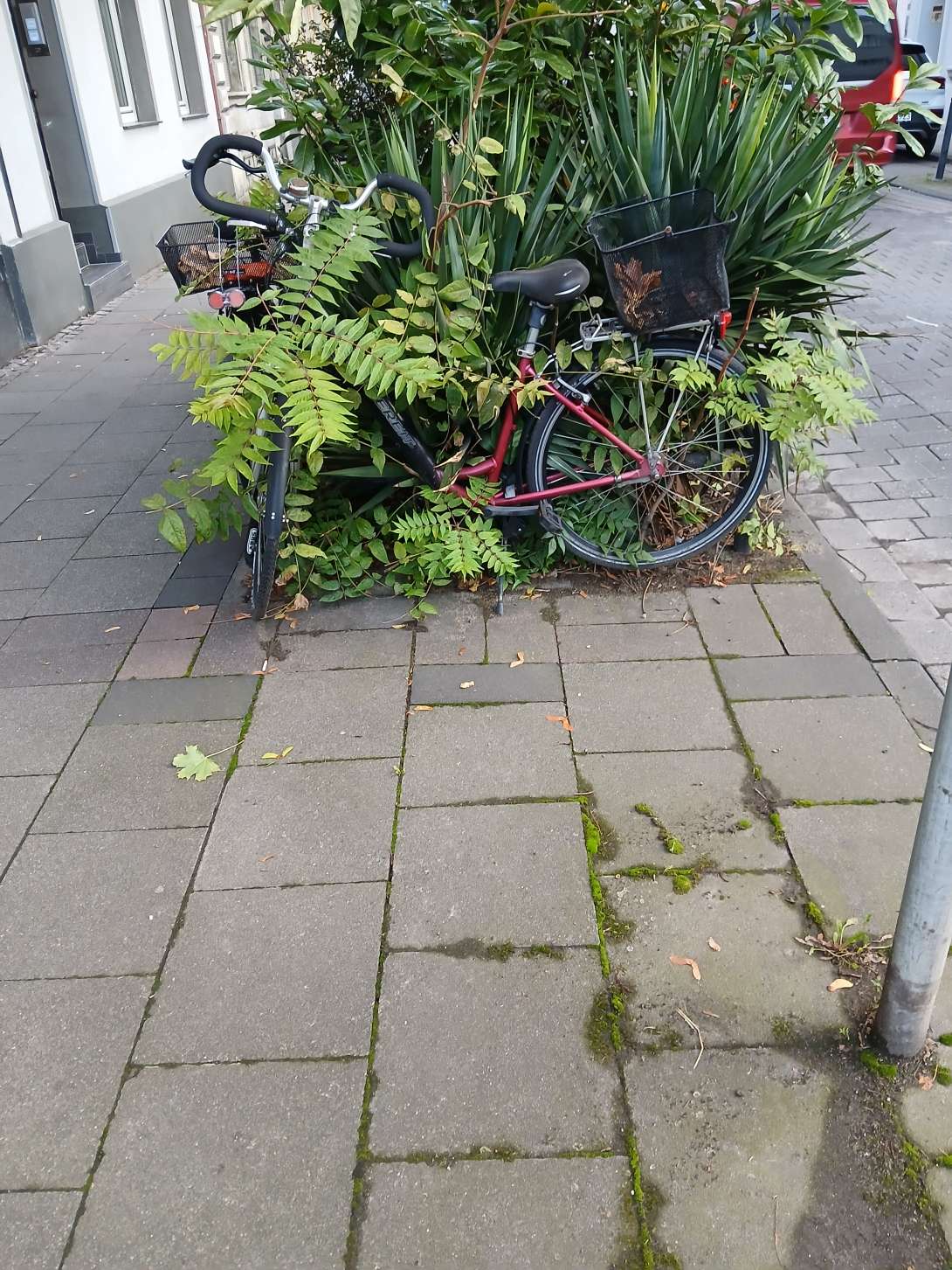 Bild zu gemeldetem Anliegen vom *2024-10-02 17:29:44