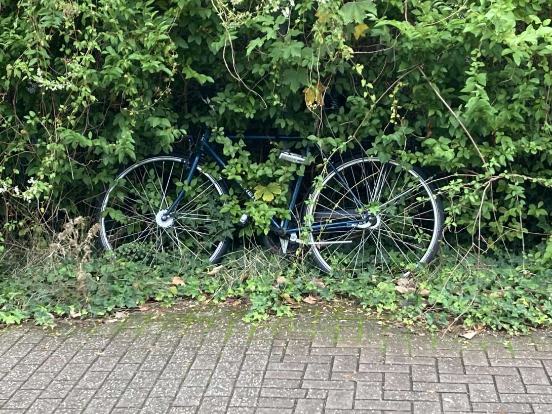 Bild zu gemeldetem Anliegen vom *2024-10-02 18:13:17