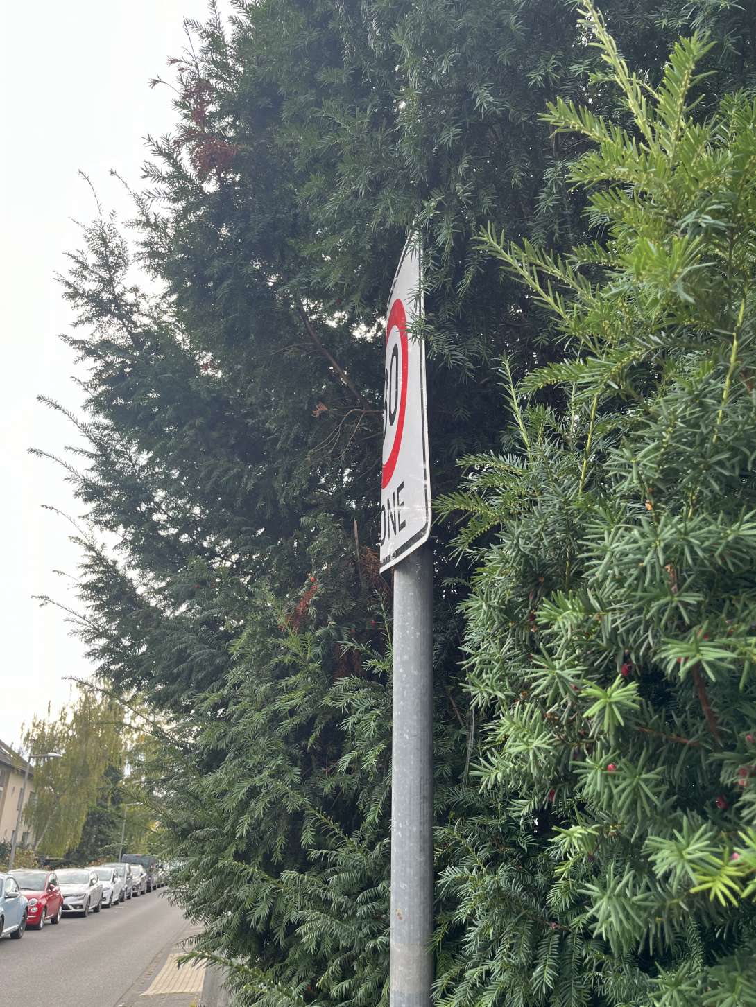 Bild zu gemeldetem Anliegen vom *2024-10-04 14:15:53