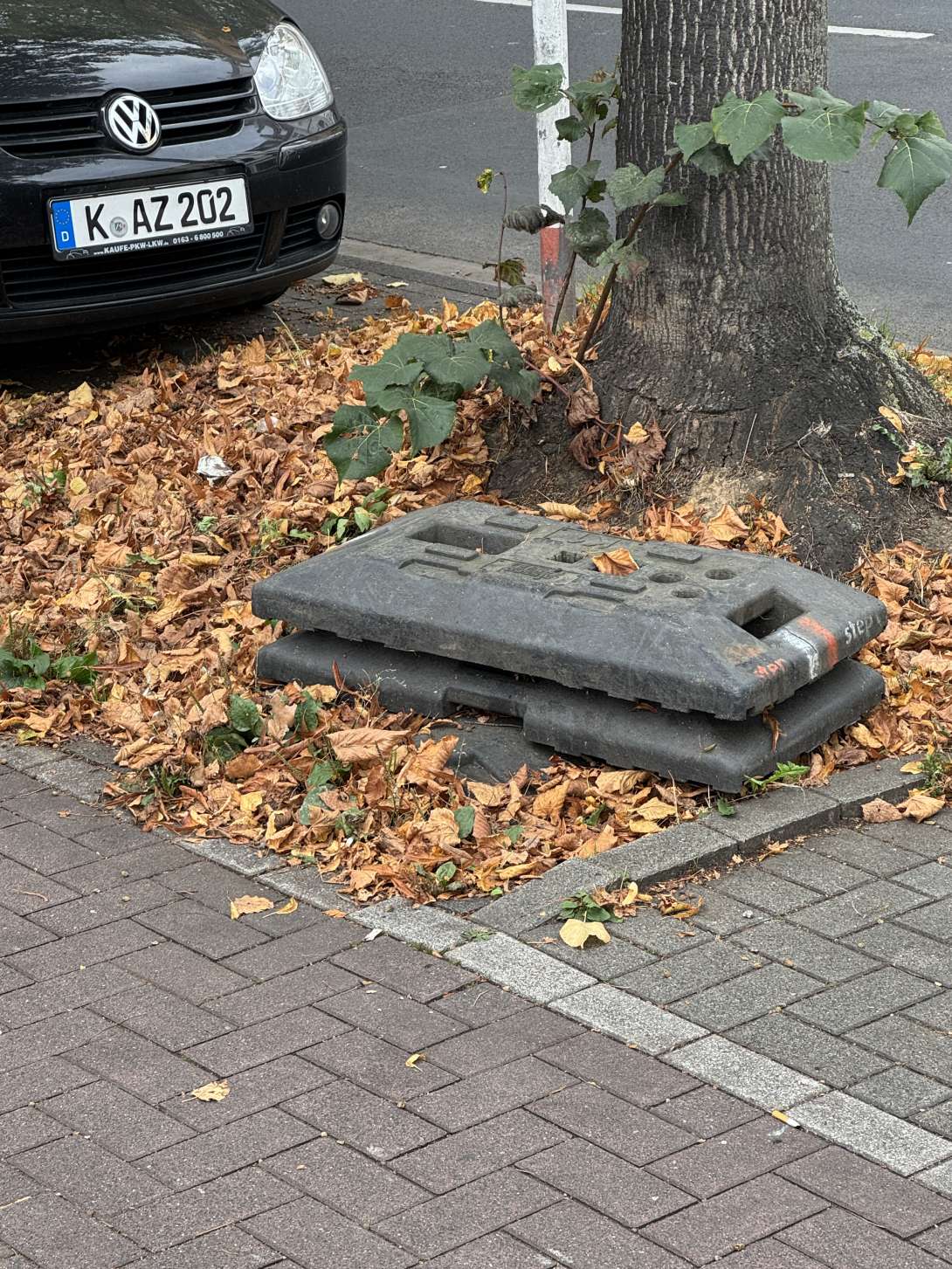 Bild zu gemeldetem Anliegen vom *2024-10-04 10:27:04