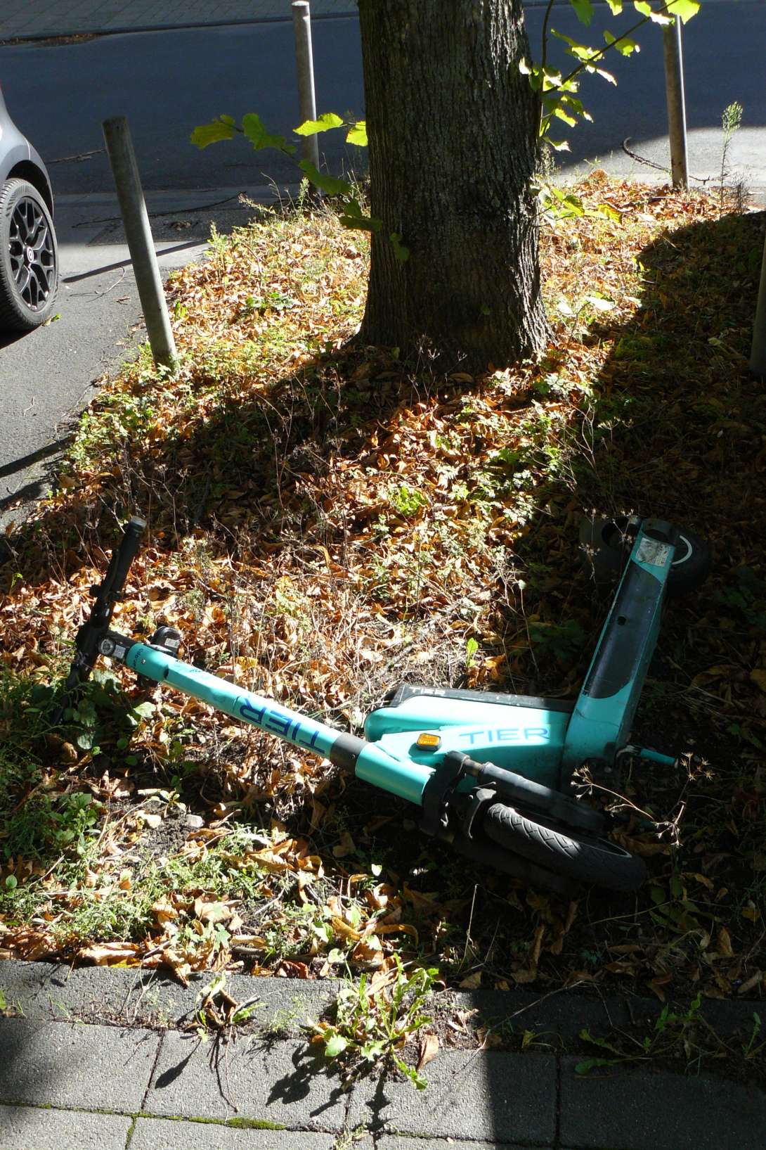 Bild zu gemeldetem Anliegen vom *2024-10-04 13:17:46