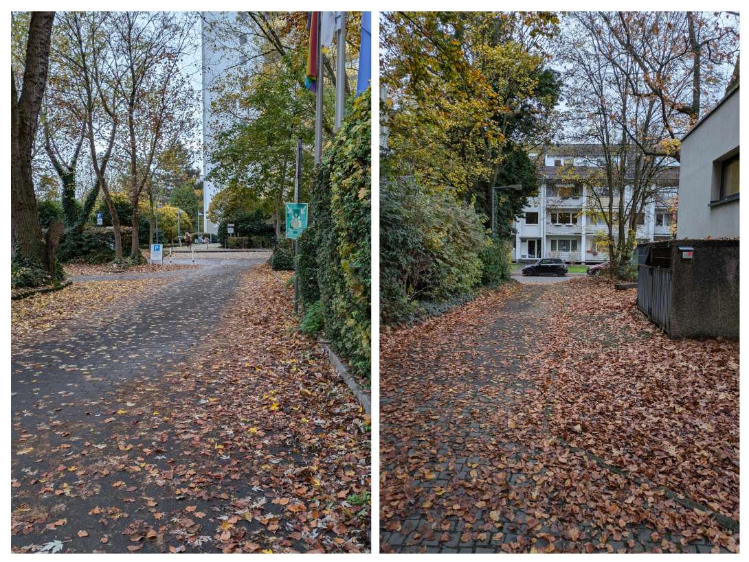 Bild zu gemeldetem Anliegen vom *2024-11-14 16:49:02