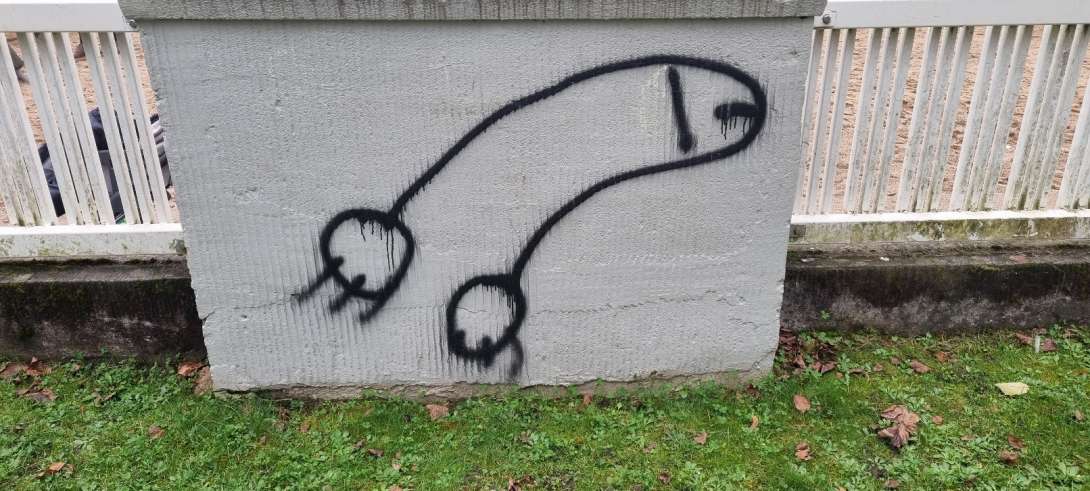 Bild zu gemeldetem Anliegen vom *2024-11-12 15:53:18