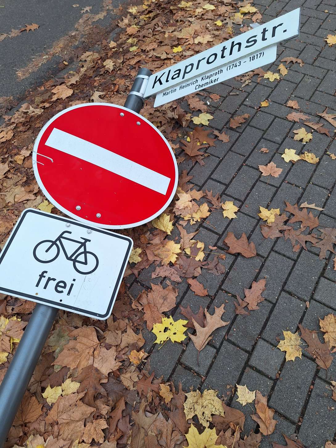 Bild zu gemeldetem Anliegen vom *2024-11-13 09:45:39