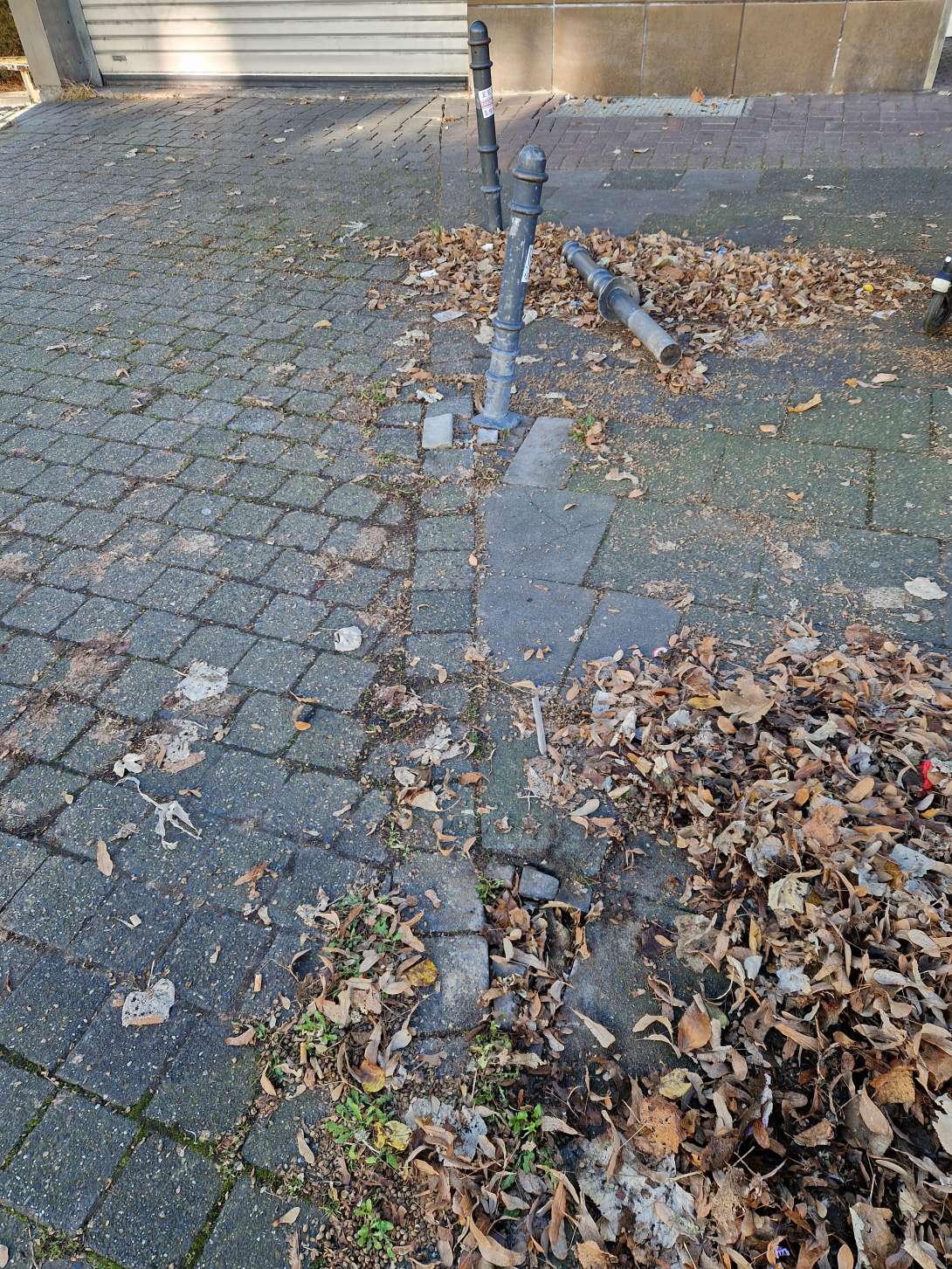 Bild zu gemeldetem Anliegen vom *2024-11-29 12:00:58