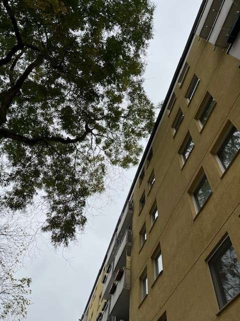 Bild zu gemeldetem Anliegen vom *2024-11-25 12:58:06