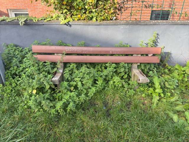 Bild zu gemeldetem Anliegen vom *2024-11-09 16:43:42