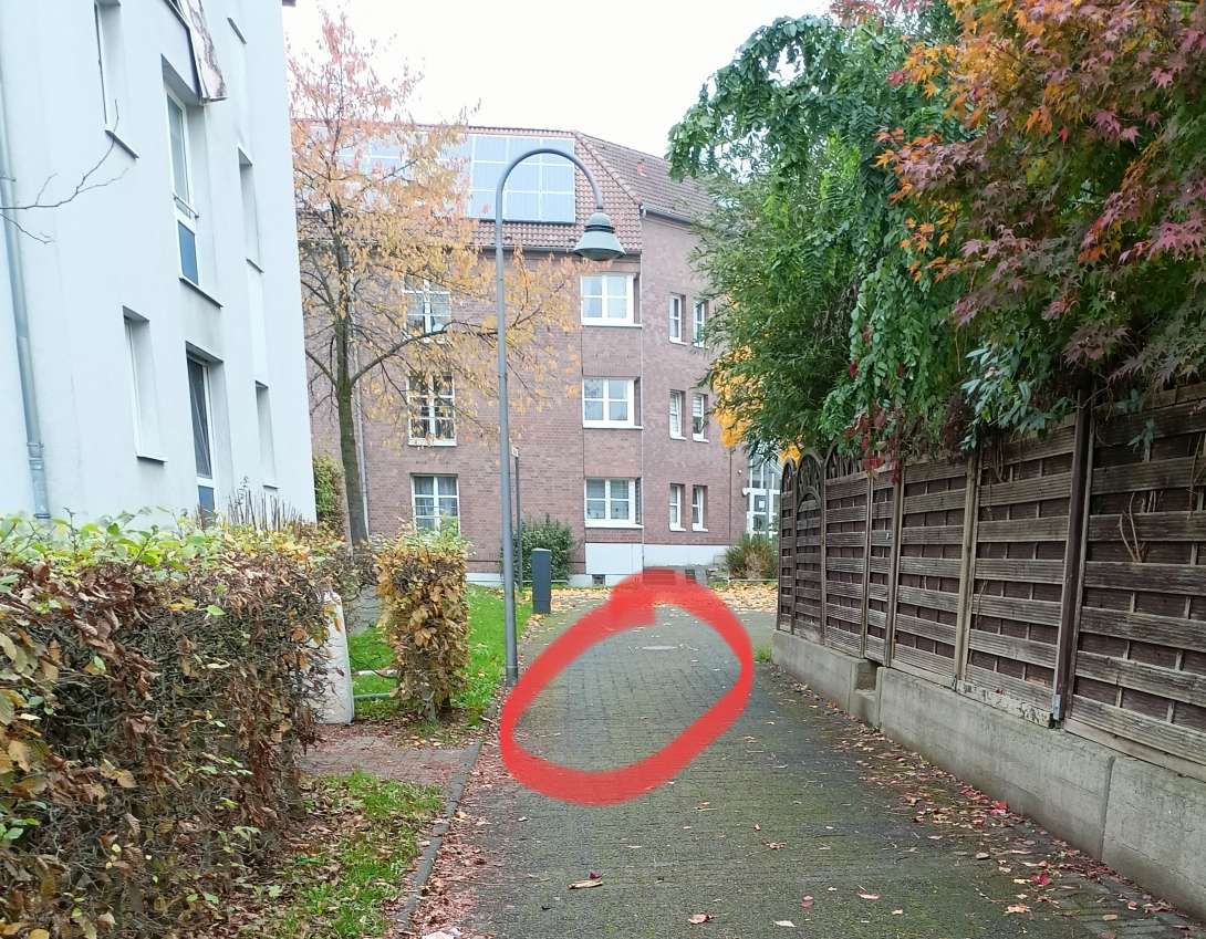 Bild zu gemeldetem Anliegen vom *2024-11-13 18:24:27