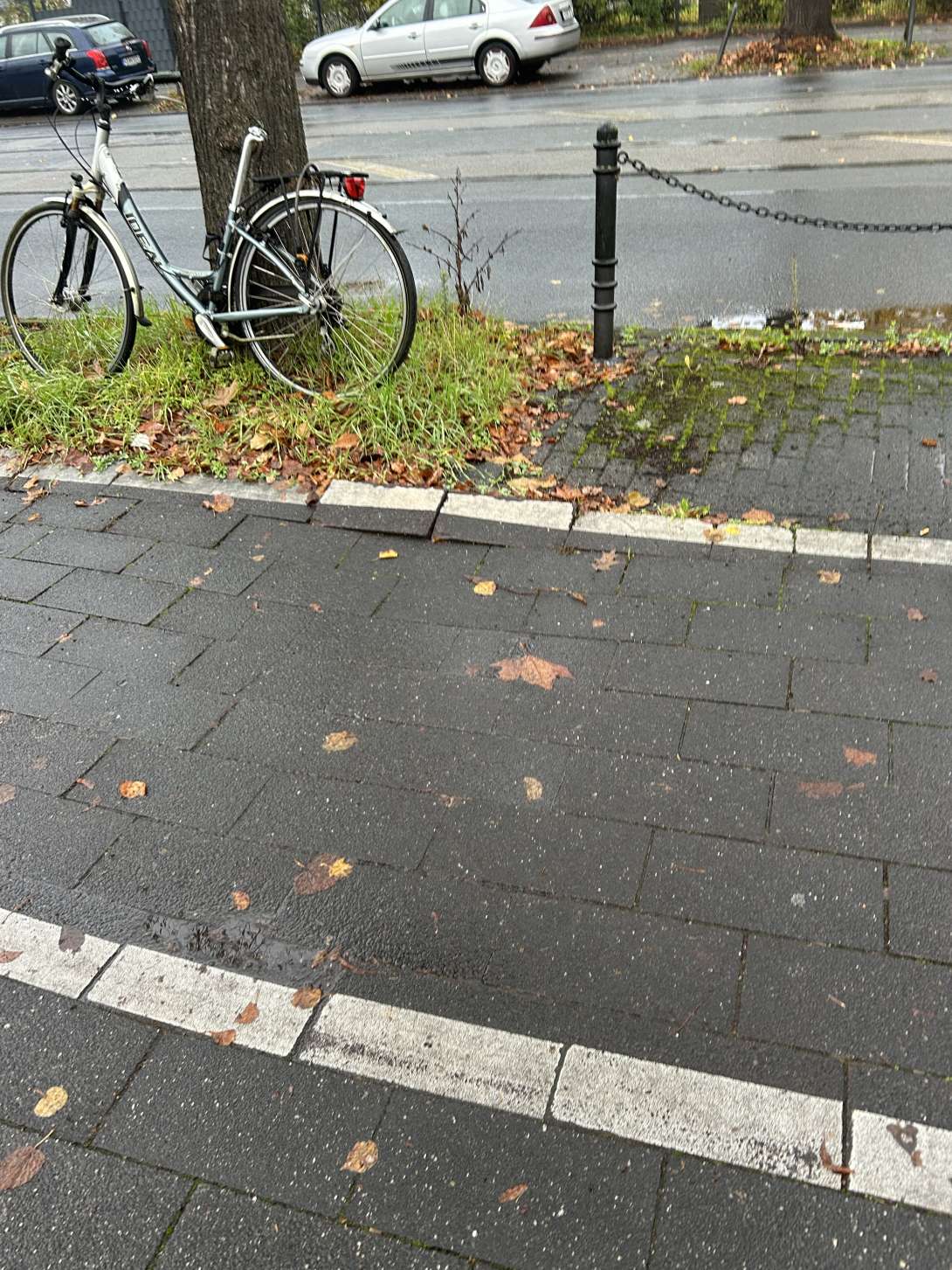 Bild zu gemeldetem Anliegen vom *2024-11-14 09:42:26