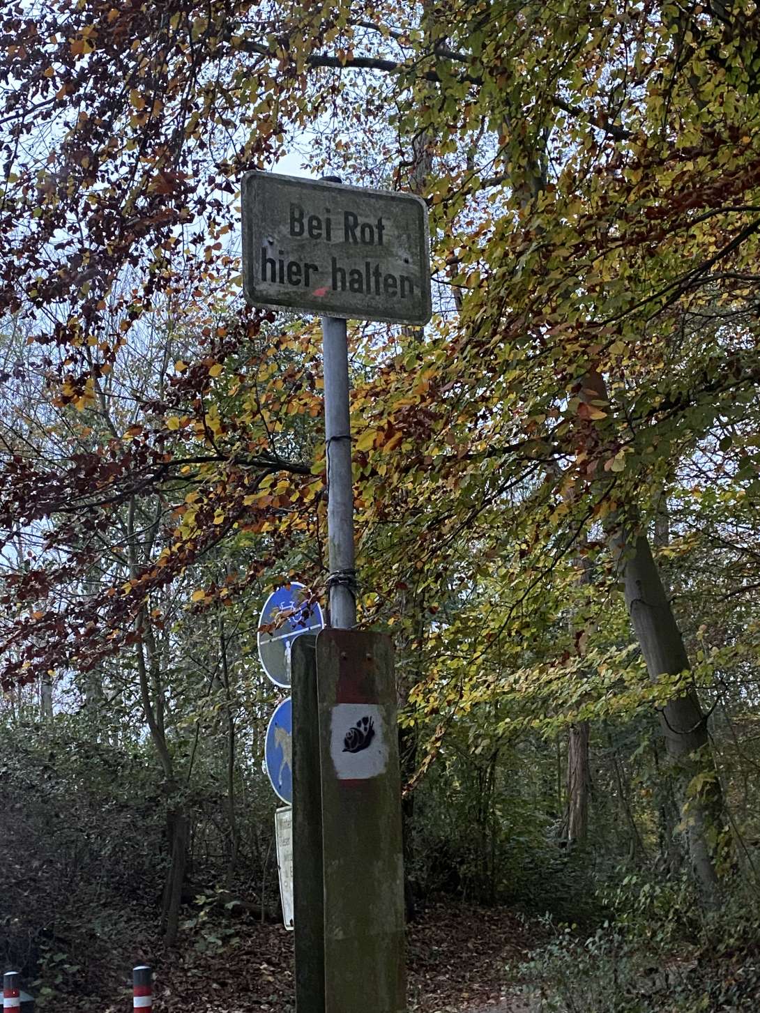 Bild zu gemeldetem Anliegen vom *2024-11-09 17:24:11