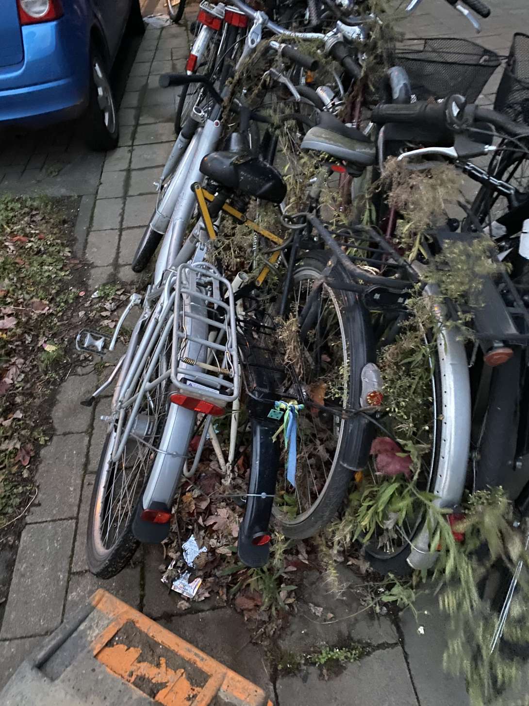 Bild zu gemeldetem Anliegen vom *2024-11-26 18:45:57