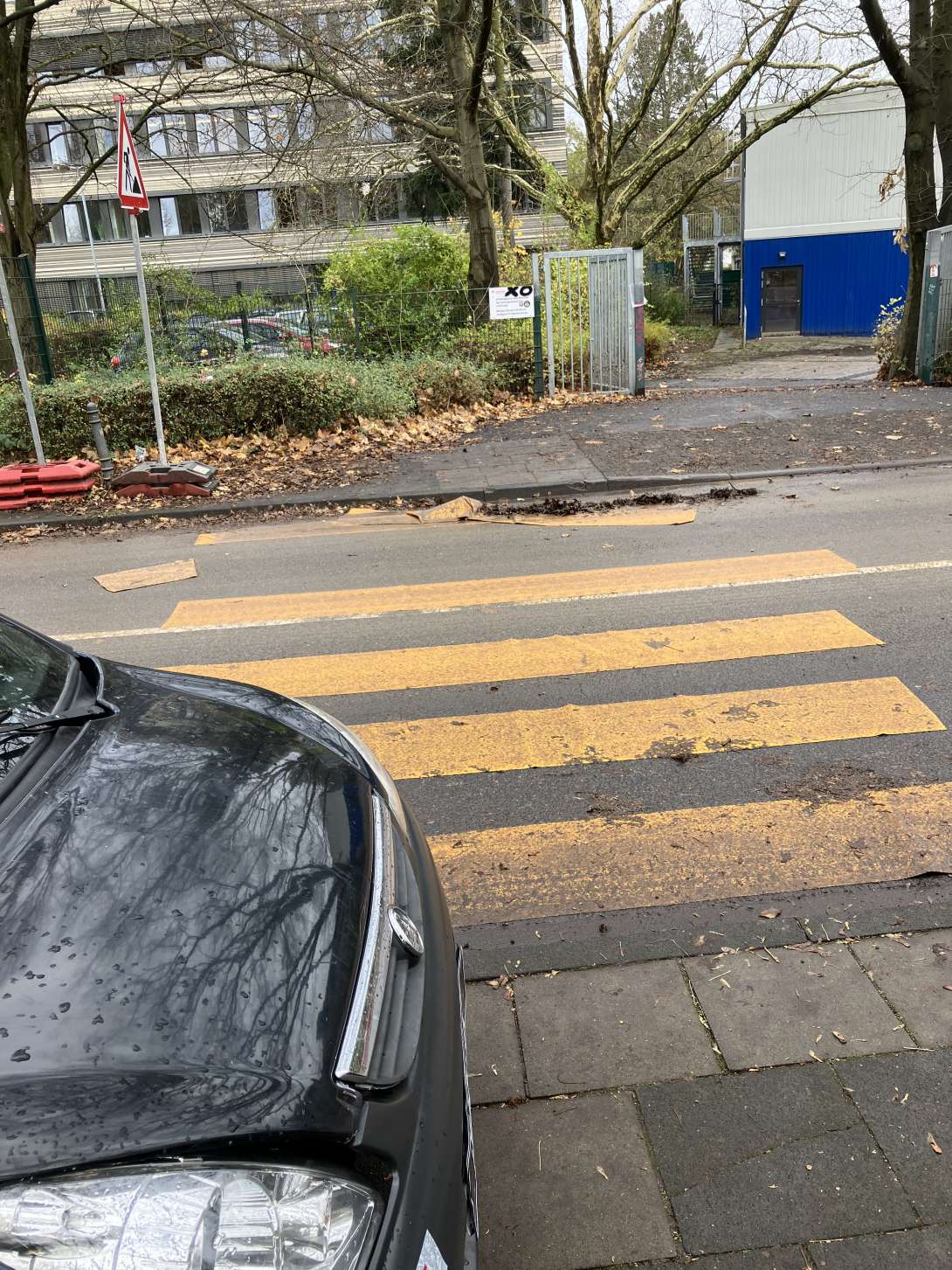 Bild zu gemeldetem Anliegen vom *2024-11-28 05:49:03