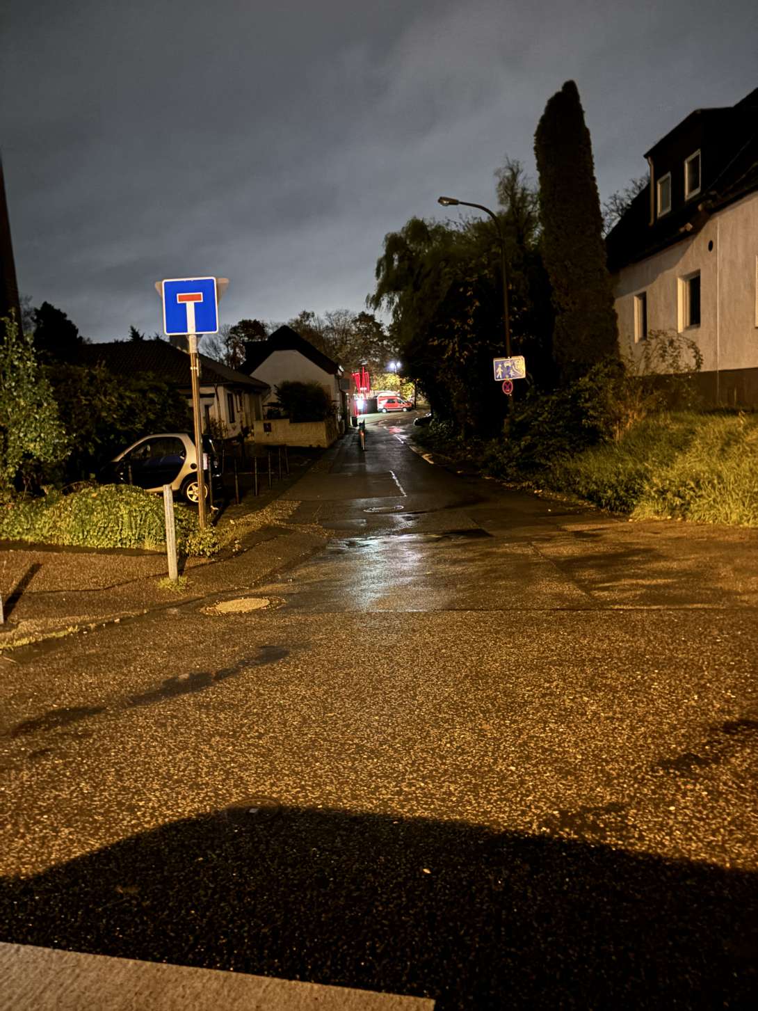 Bild zu gemeldetem Anliegen vom *2024-11-12 08:02:44