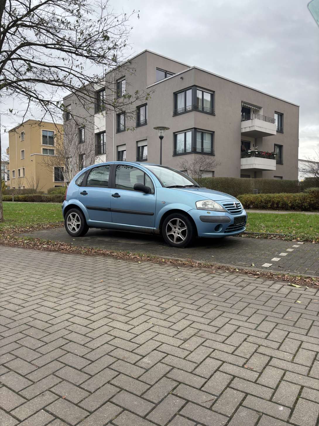 Bild zu gemeldetem Anliegen vom *2024-11-29 19:20:33