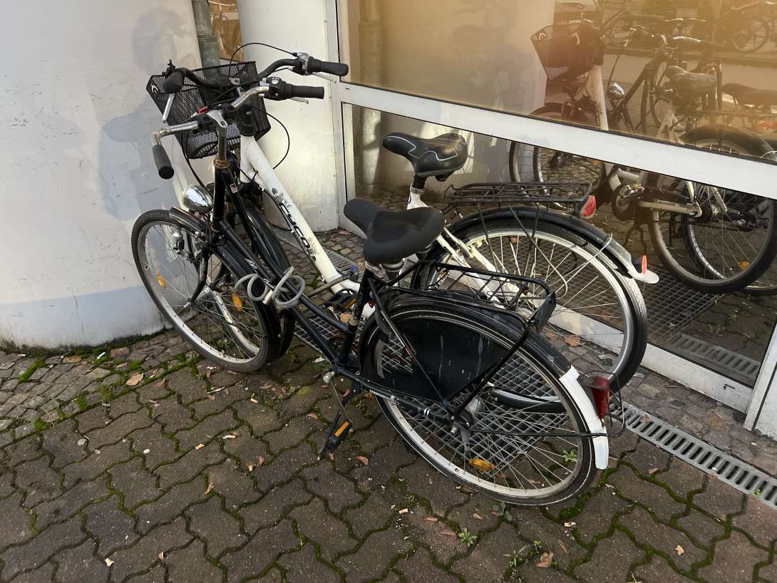 Bild zu gemeldetem Anliegen vom *2024-11-07 22:10:51