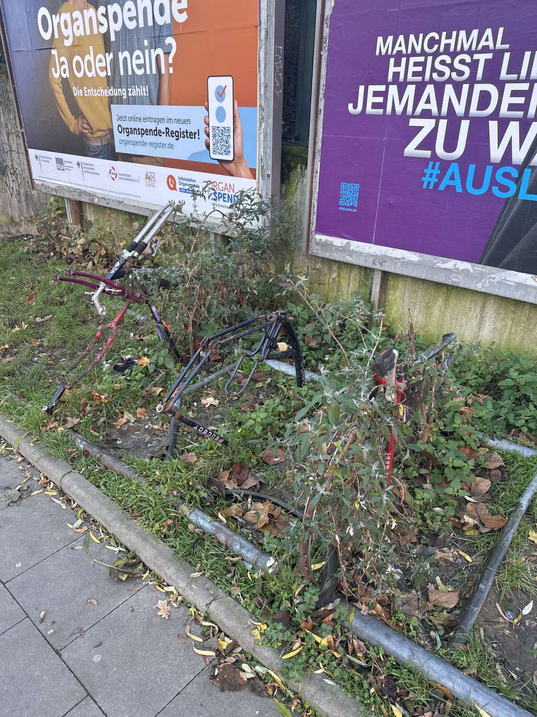 Bild zu gemeldetem Anliegen vom *2024-11-26 14:48:23
