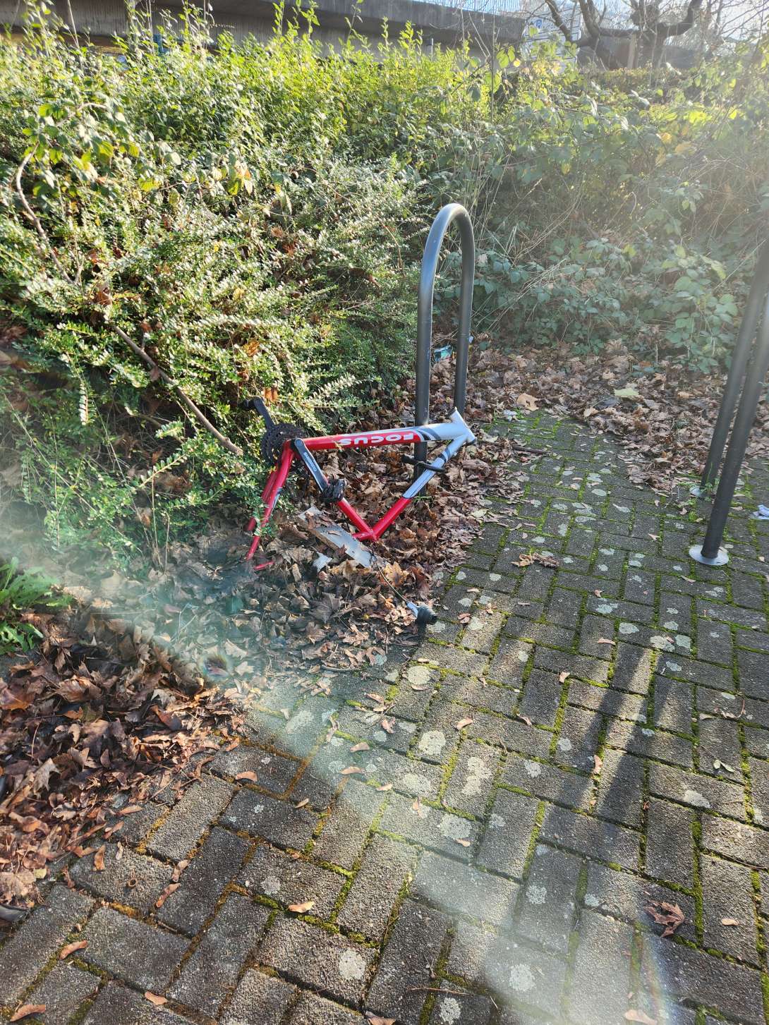 Bild zu gemeldetem Anliegen vom *2024-12-01 13:17:47