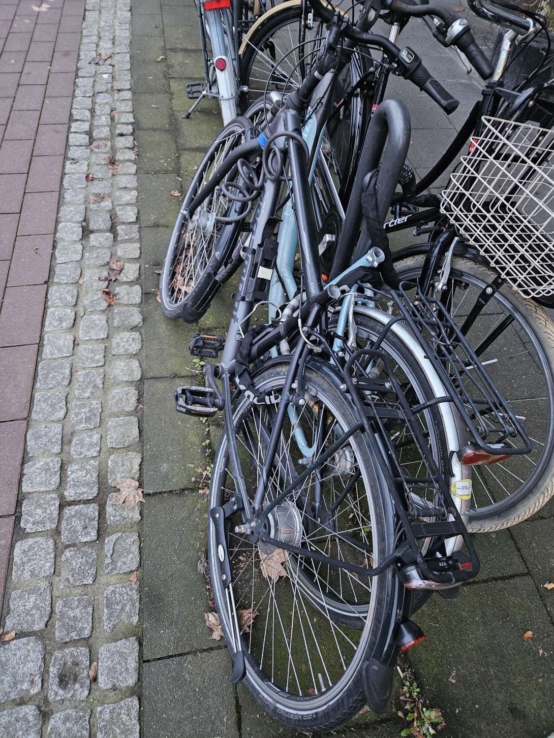 Bild zu gemeldetem Anliegen vom *2024-12-18 11:29:21
