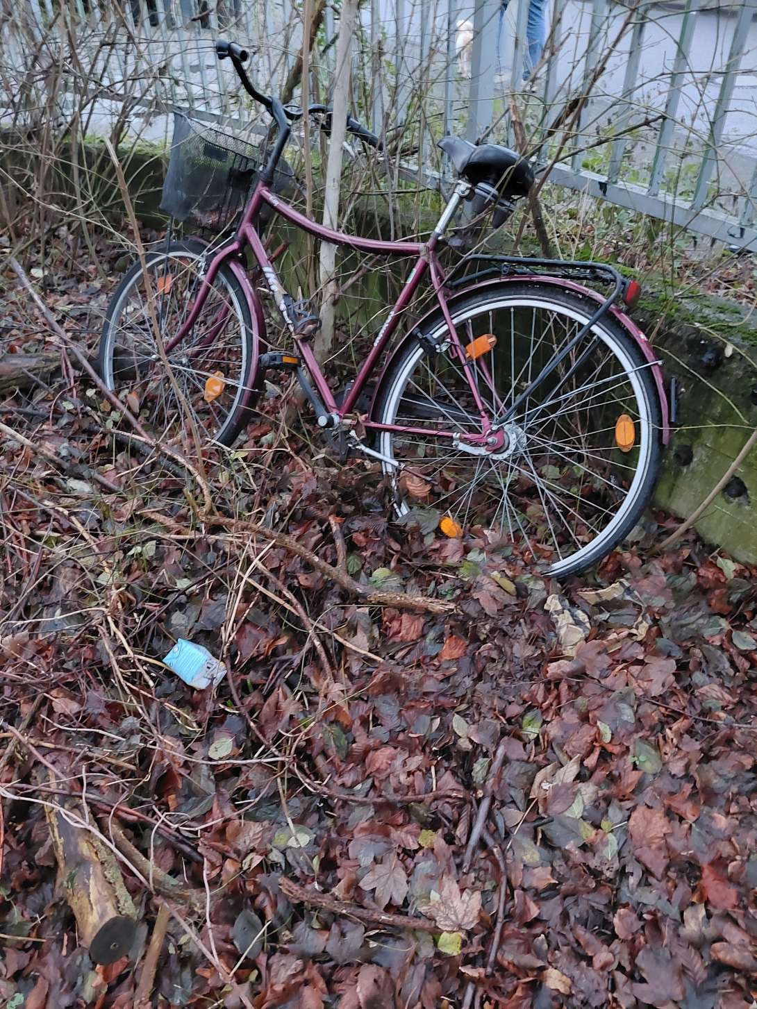 Bild zu gemeldetem Anliegen vom *2024-12-22 18:39:07