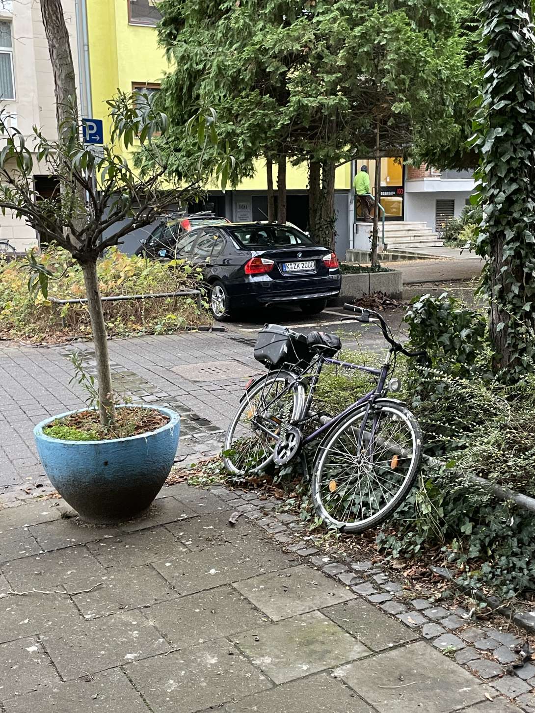 Bild zu gemeldetem Anliegen vom *2024-12-06 19:01:19