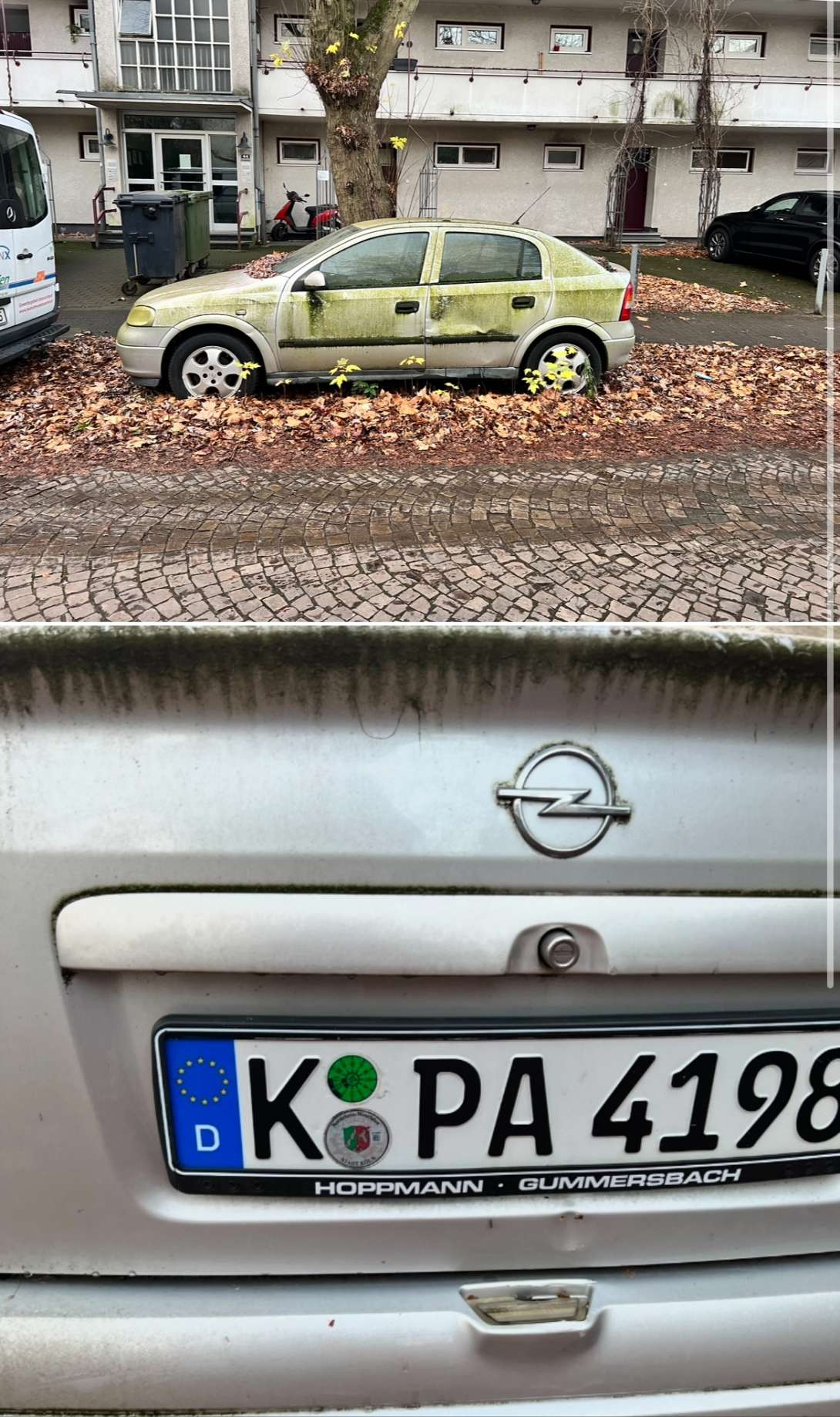Bild zu gemeldetem Anliegen vom *2024-12-19 08:52:03