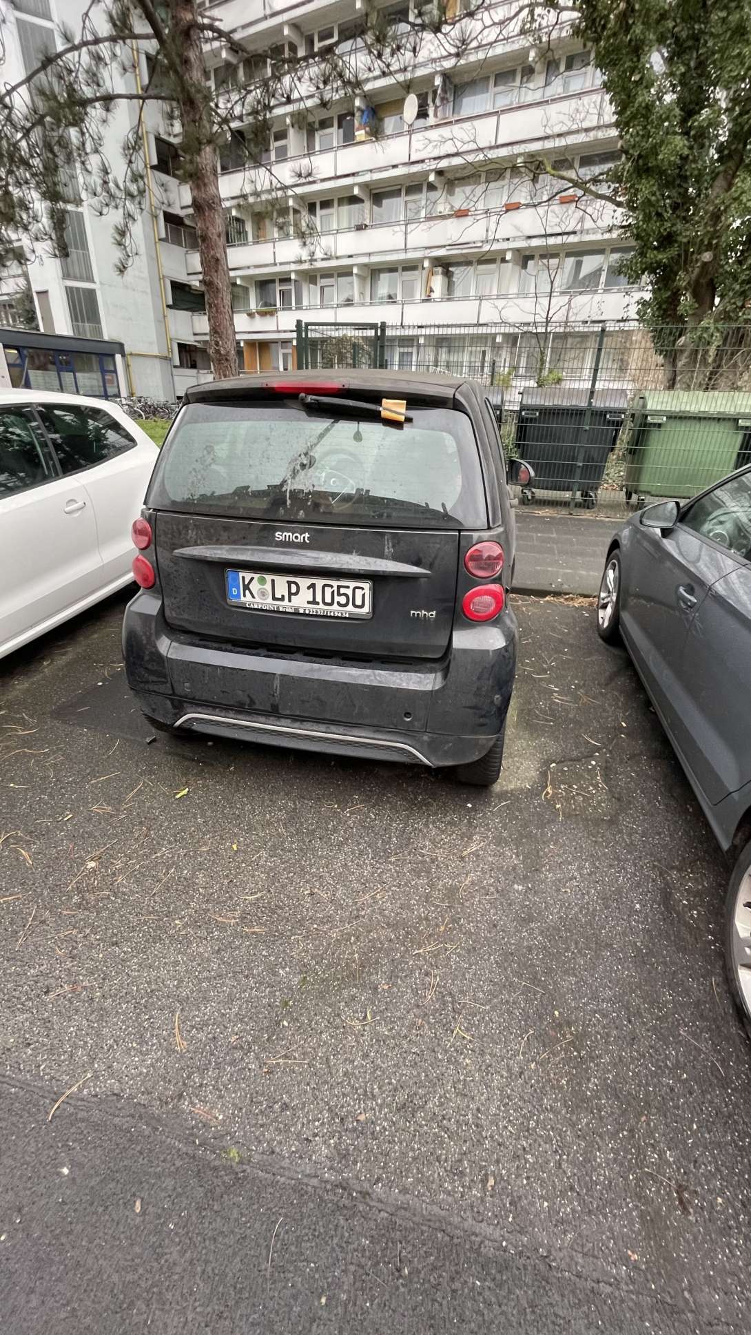 Bild zu gemeldetem Anliegen vom *2024-12-16 12:10:22