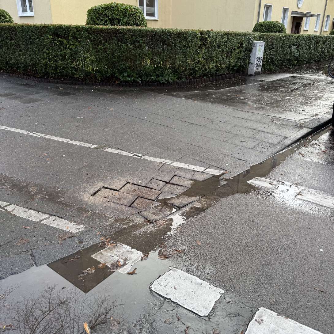 Bild zu gemeldetem Anliegen vom *2024-12-26 20:06:09