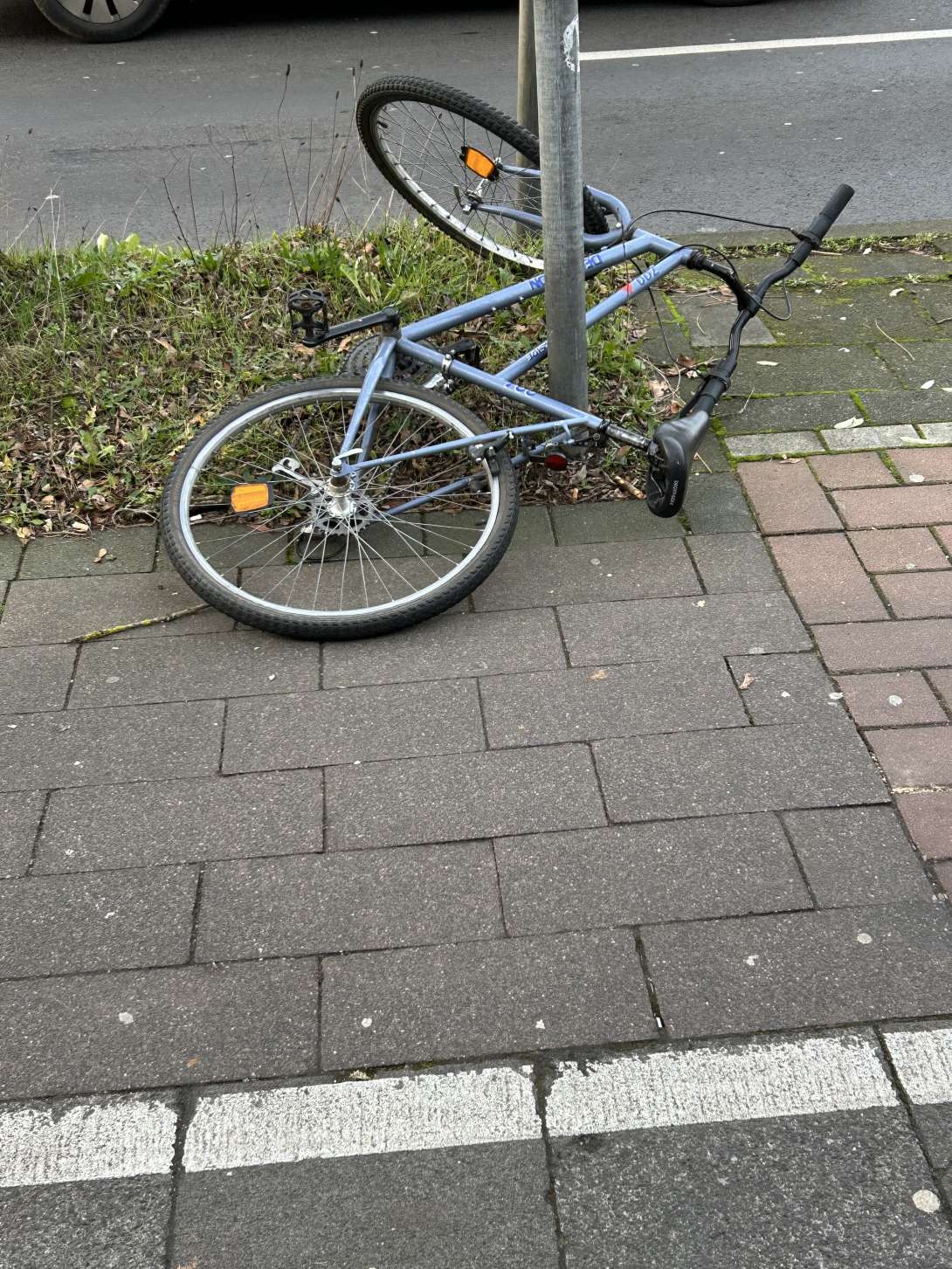 Bild zu gemeldetem Anliegen vom *2024-12-05 09:00:43