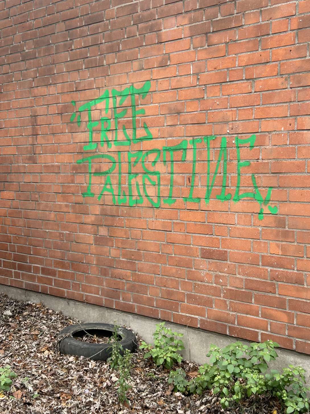 Bild zu gemeldetem Anliegen vom *2024-12-12 11:36:36