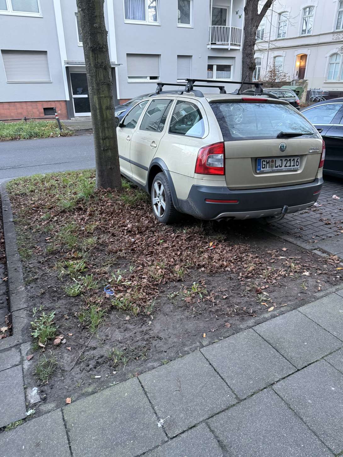 Bild zu gemeldetem Anliegen vom *2024-12-23 07:30:50